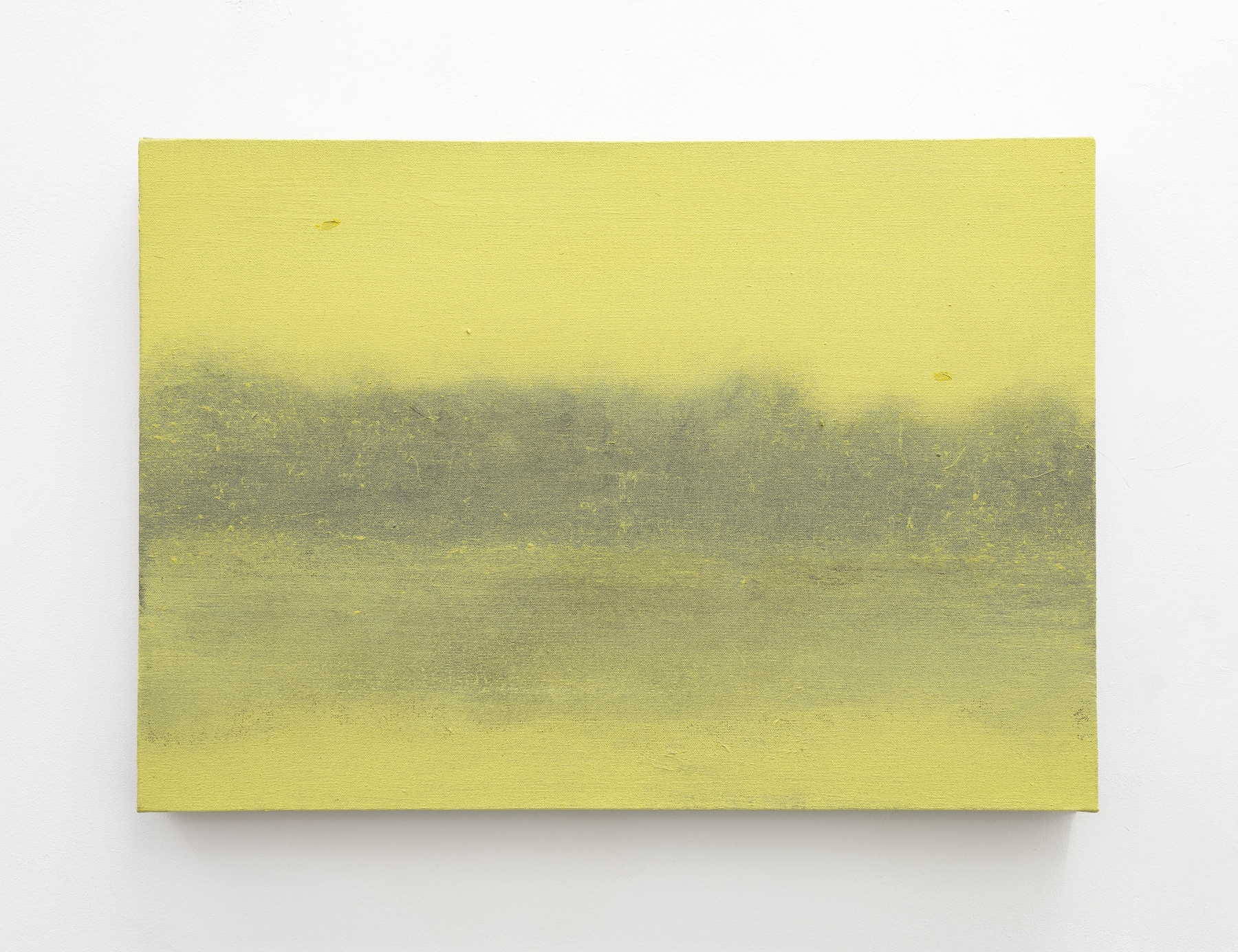 Merlin James&nbsp;
Yellow Trees, 2003
acrylic on canvas
42 x 61 cm / 16.5 x 24 in&nbsp;