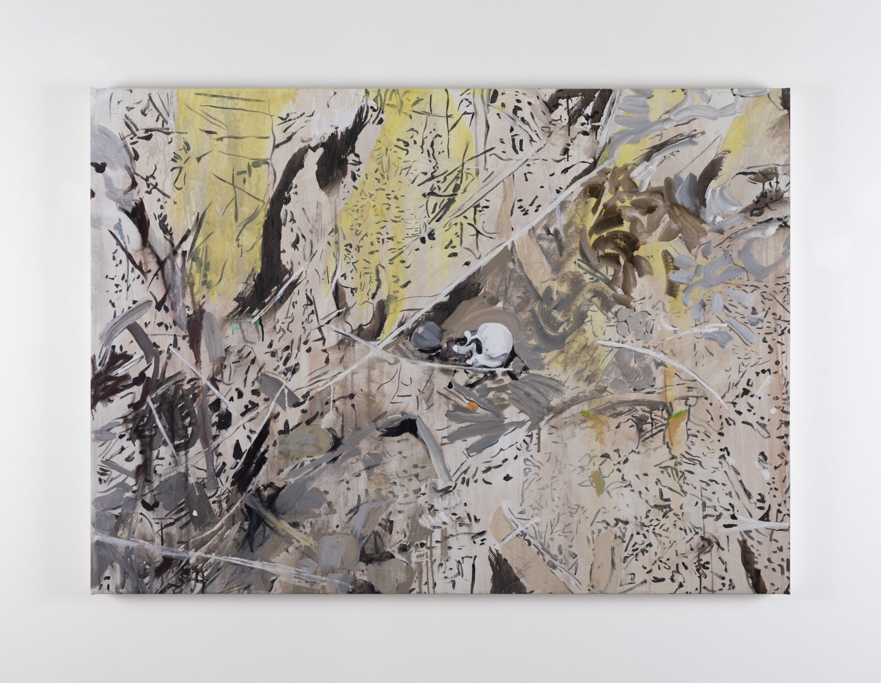 Brian Maguire&nbsp;
Arizona 8 2021
acrylic on canvas
107 x 148 x 2 cm / 42.1 x 58.3 x .8 in&nbsp;