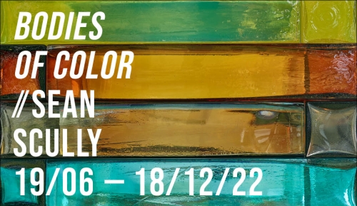Sean Scully, Bodies of Color
